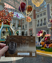 ����÷����չ