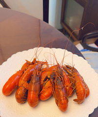 �⼸�����Ͷ���������