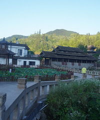 ���д�T�ǣ���Ӱ���������������