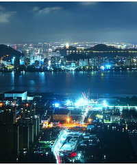 ̨����ҹ��