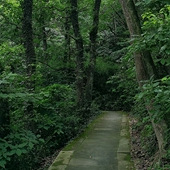 ����С��