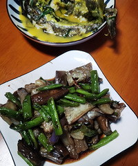 �������ʲô�����Ƕ�������