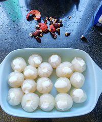 �������ʲô����֦���̶����úó�