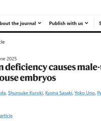 ĸ������ȱ��������̥�����к���Ů����������о�����