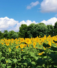 �������տ��������ߣ���ݡ���Ƭ�ؼ������պ�