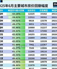 ��Ҫ���з��۵���