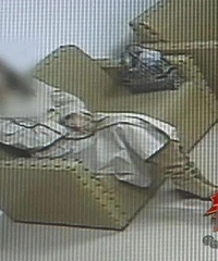 �Ϻ�����Ů�������������·ֱҲ������ֶ������ۣ��ٷ�������