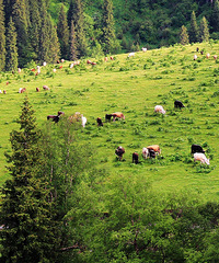 һ������������Ϣ�ĵط�