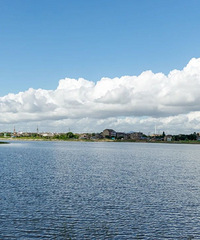 �ƺ�����ˮ��ɣ�