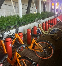 ����Ĳ����㰡