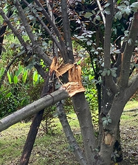 �úõ������ƻ�