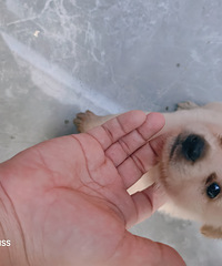 ���ڰ��ŵĹ��������ˣ��ͱ��޵������