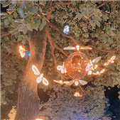 ��������ƹ���