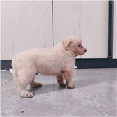 ��Ҫ��С��