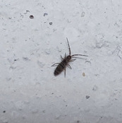 ����ʲô����