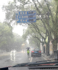 ̨���춼����Щ���ɹ�˾�ż٣�