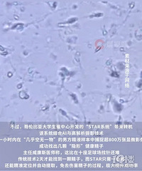 ȫ���������з�����AI�����漣���У���������һ