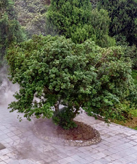 ��ð�����÷����������� ����Ϊ������������Ԣ����רְ�ܼ�