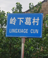 ���Ǽҵ��������������𣿰�æ�ɻ��ʱ����뵽��