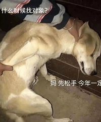 �㲻��飬�����Ͳ�֪����������ô��