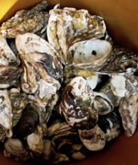 ̨����󣬺ܶ�����Ͱȥ�񣡽������ѣ�Σ�գ���Ҫ�ԣ�