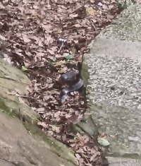 ����ʲô��