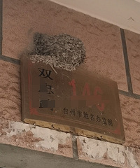 �ö�����