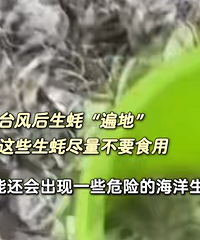 ̨����󣬺ܶ�����Ͱȥ�񣡽������ѣ�Σ�գ���Ҫ�ԣ�