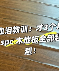 ����һ����֡�7������