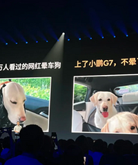 С����������֪������λ�������