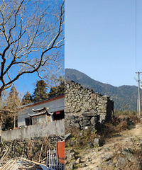 为三年来大山村的巨大变化而高兴,又惋惜