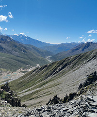 �����Ż���ľ��ʥ��