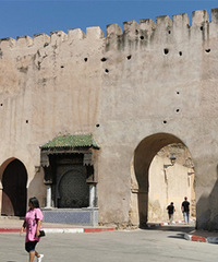 ��ɫ�ʳ�÷����˹�������Խ���ɫ��������