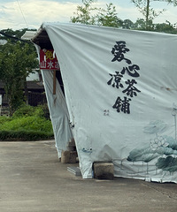 ���۸��᡿��������������������