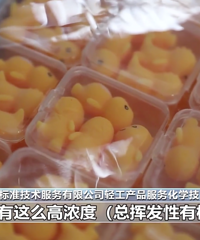 ʵ��11�100%�����ȩ������ġ������֡������ж�