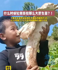������������ҵ����ͼ��ȱ�����