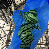 �޲μӳԹϴ���Ӯ2��