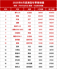 6月轿车/SUV/MPV/NEV零售销量榜