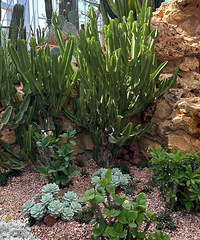 �Ϻ���ĩ2���Σ��ܿ�����̫�����