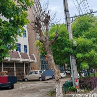 �����ܾȻ�?