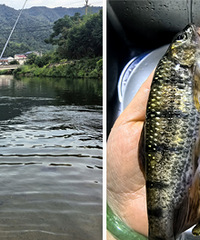 СϪ��վ��ǲ��ܸ���