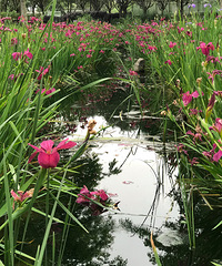 89������Ů�������ȶ���û���������㣬ϣ���Ҹ��������ĵ�