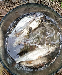 ������̨��һ���ӱ�ȷ�������Ϊ��һ�ճ�����