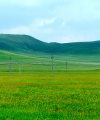 �羰������������ϲ�ԭ