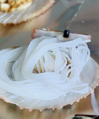 [��ʳ]�㲻������������Ѭ���ǣ��տ�Ҳ�ܳԵ�ˬ��