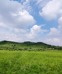 �羰������������ϲ�ԭ