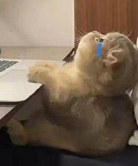 ��ɵ*ȥ������ŮԱ��������Ȧ�������������쵼������������14��