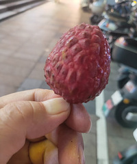 ��֦�ȼ�����