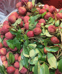 ��֦�ȼ�����