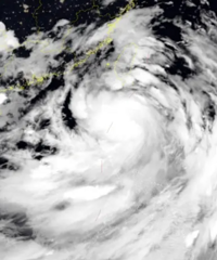 ���꣡С�ģ��㽭��Щ�ط���ˮǿ����Ϯ